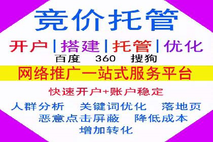 竞价广告赚钱秘籍：百度实战案例
